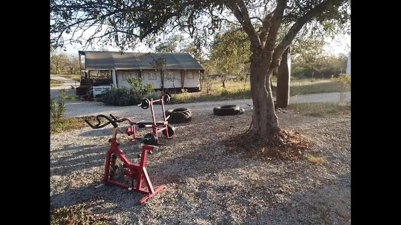 Ses Quinta Luxury Safari Tents Paderne Εξωτερικό φωτογραφία